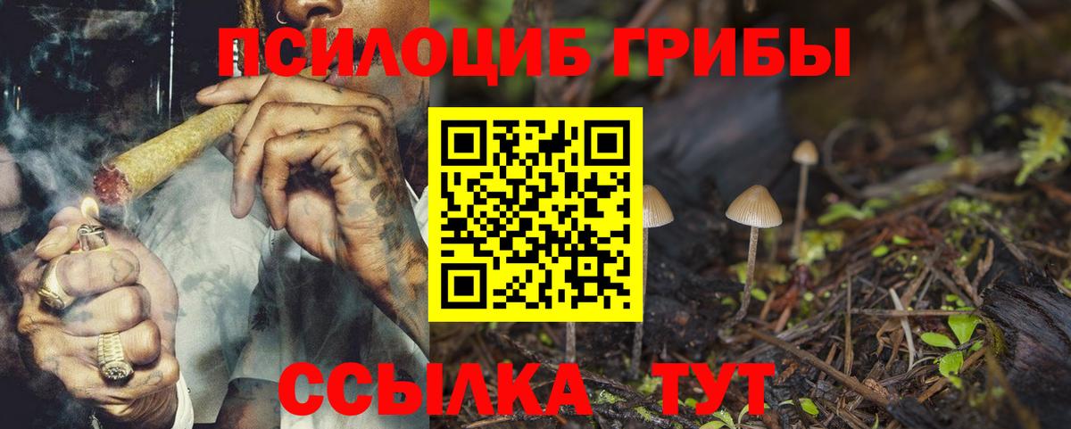 Псилоцибиновые грибы MAGIC MUSHROOMS Курск