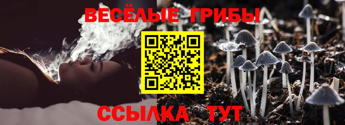 Курск  Псилоцибиновые грибы Magic Shrooms  наркота  Вход с VPN 